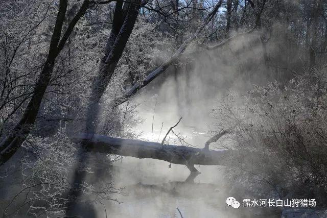 【两会·词解】徐勃代表：“村超”流量 共创共享 融合发展