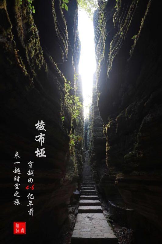调兵遣将飞机打击