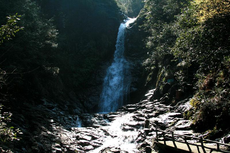 逃出田园庭院