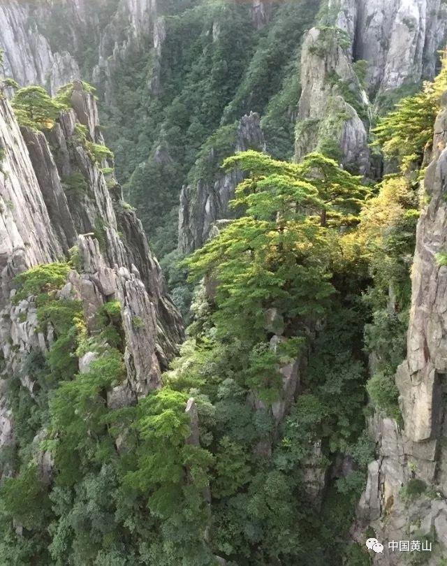 巫师3狂猎